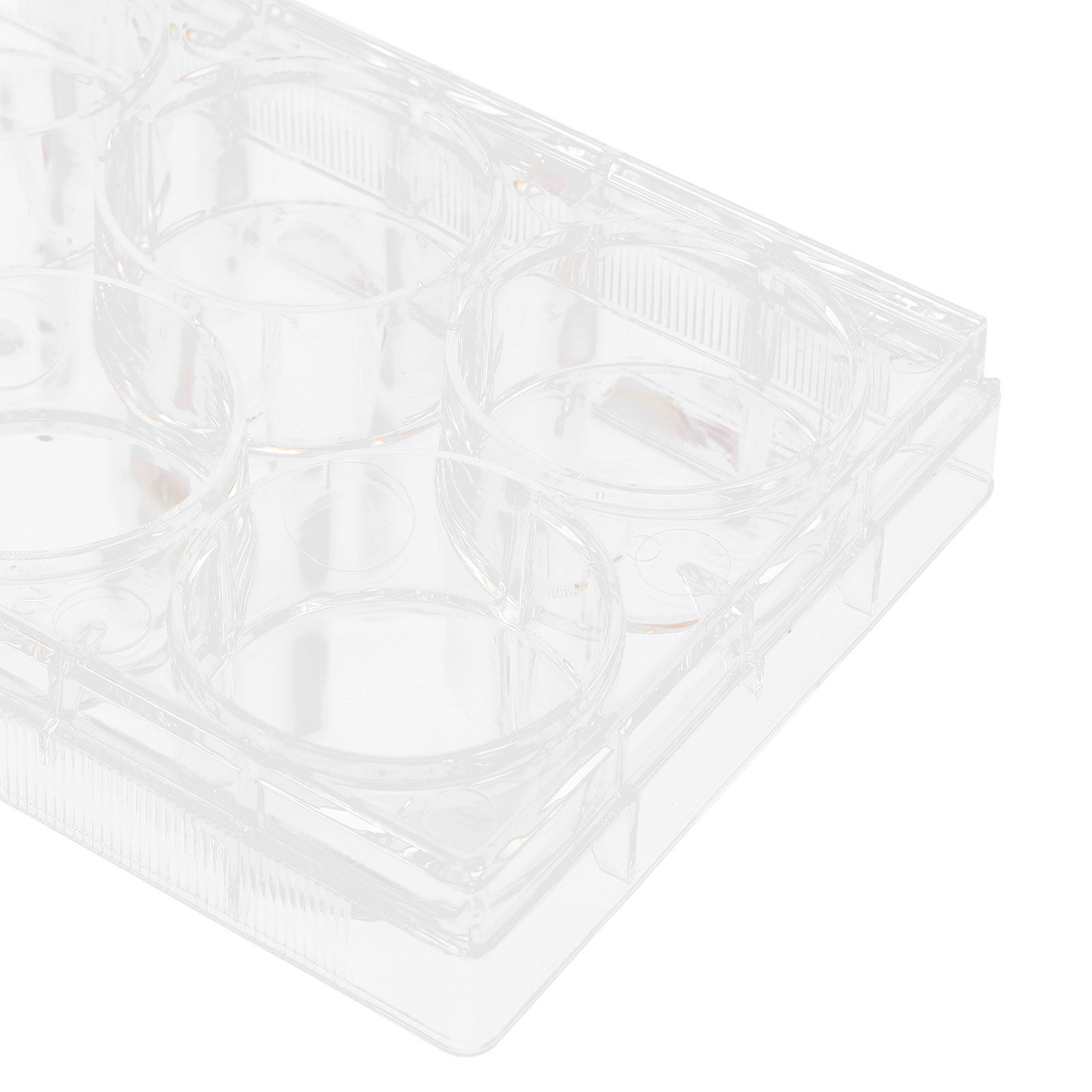 Tissue Culture Plate 6 Wells S - огляд і ціна Lab Equipment